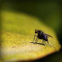 /album/seoservicesmanchester6/photolia-a07-jpg/